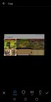 Screenshot_20200328-180145.jpg