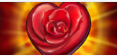 1665131665860.png
