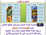 1675116986574.png