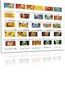 1701430899200.png