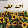 احمد عطيه