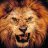lionLION1996